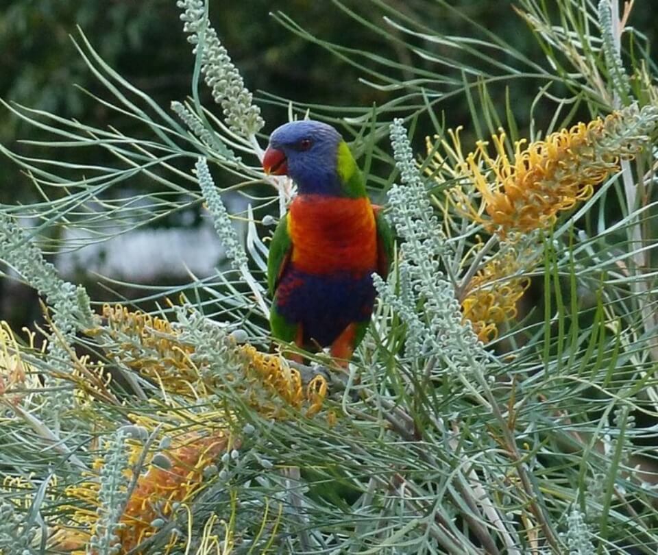 Latest news and resources, Seabrae Manor